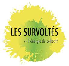 Association engagée dans la transition énergétique ayant créé un parc photovoltaïque citoyen à Aubais dans la Vaunage - Les survoltés